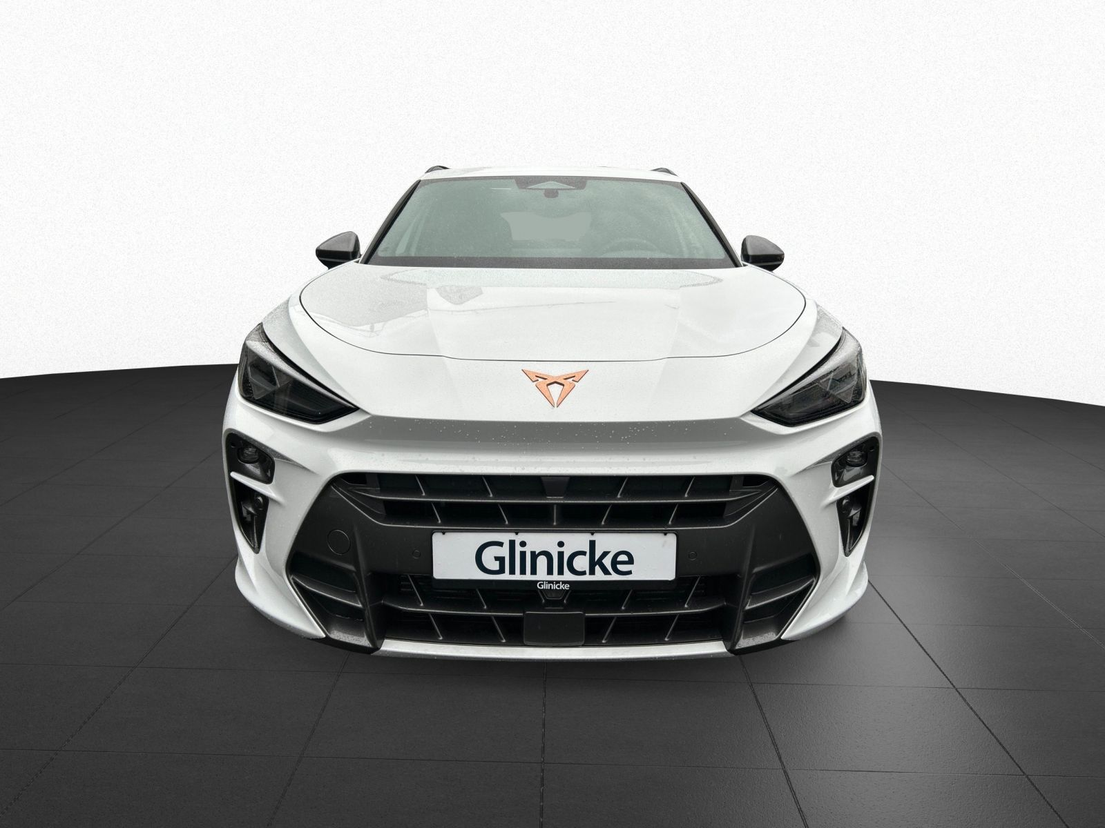 Cupra Terramar - Bild 3