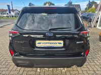 Subaru Forester - Vorschau Bild 4