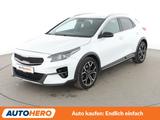 Kia XCeed 1.6 TGDI Black Xdition Aut.*NAVI*BiLED*CAM - Kia XCeed Gebrauchtwagen in Berlin