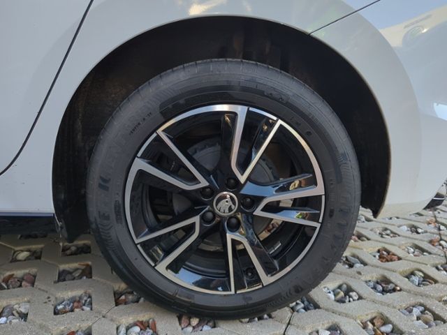 Fahrzeugabbildung SKODA Fabia 1.0 TSI Monte Carlo CLIMATRONIC FRONTSCHEI