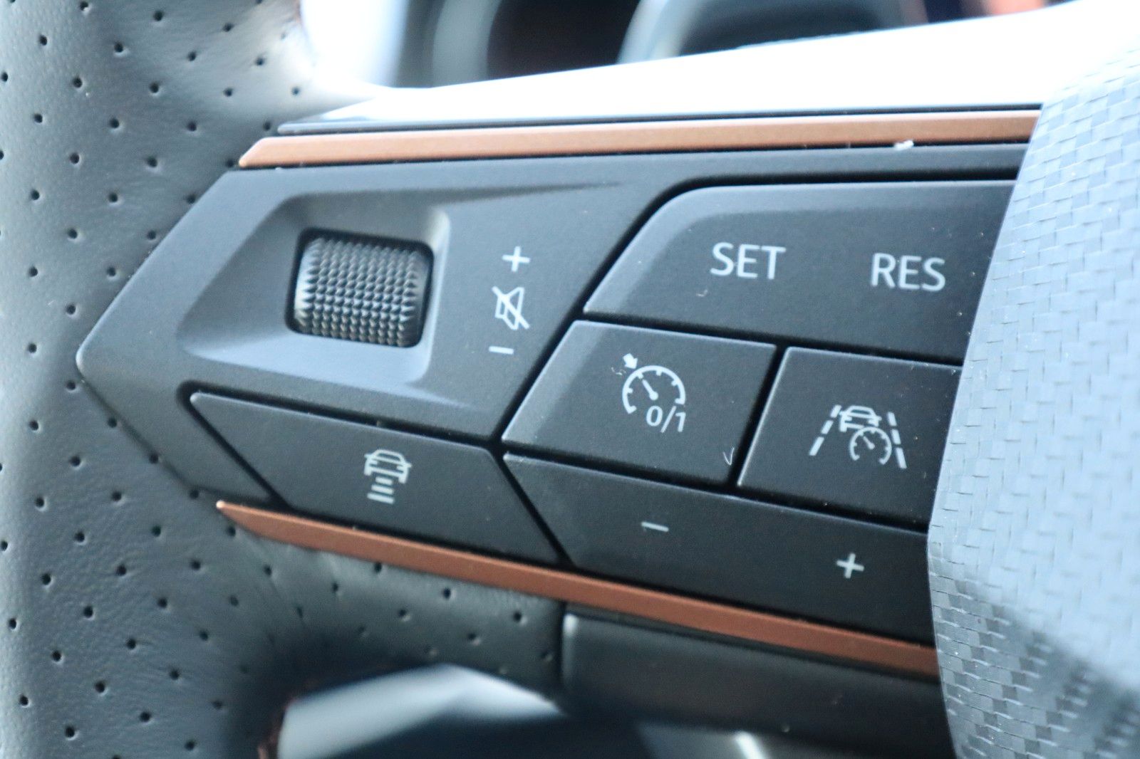 Fahrzeugabbildung CUPRA Formentor VZ 2,0 TSI 245PD DSG *AHZV