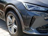 Cupra Formentor 2.0 TDI 4Drive EURO 6d Exclusive LED - Cupra mit Diesel-Antrieb
