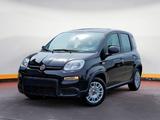 Fiat Panda Hybrid 1.0 GSE 51kw MY24 sofort Verfügbar!