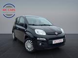 Fiat Panda Easy Klima 1.Hand! - Fiat Panda Gebrauchtwagen in Hamburg