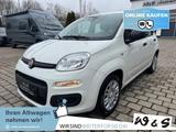 Fiat Panda MY25 1.0 GSE *5-Sitzer*GRA* PDC*Bluet.* - Fiat Panda: Sitzer