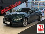 Jaguar XE 2.5T Portfolio "PANO Komfort-Paket 1+2  NAVI" - Jaguar XE Gebrauchtwagen