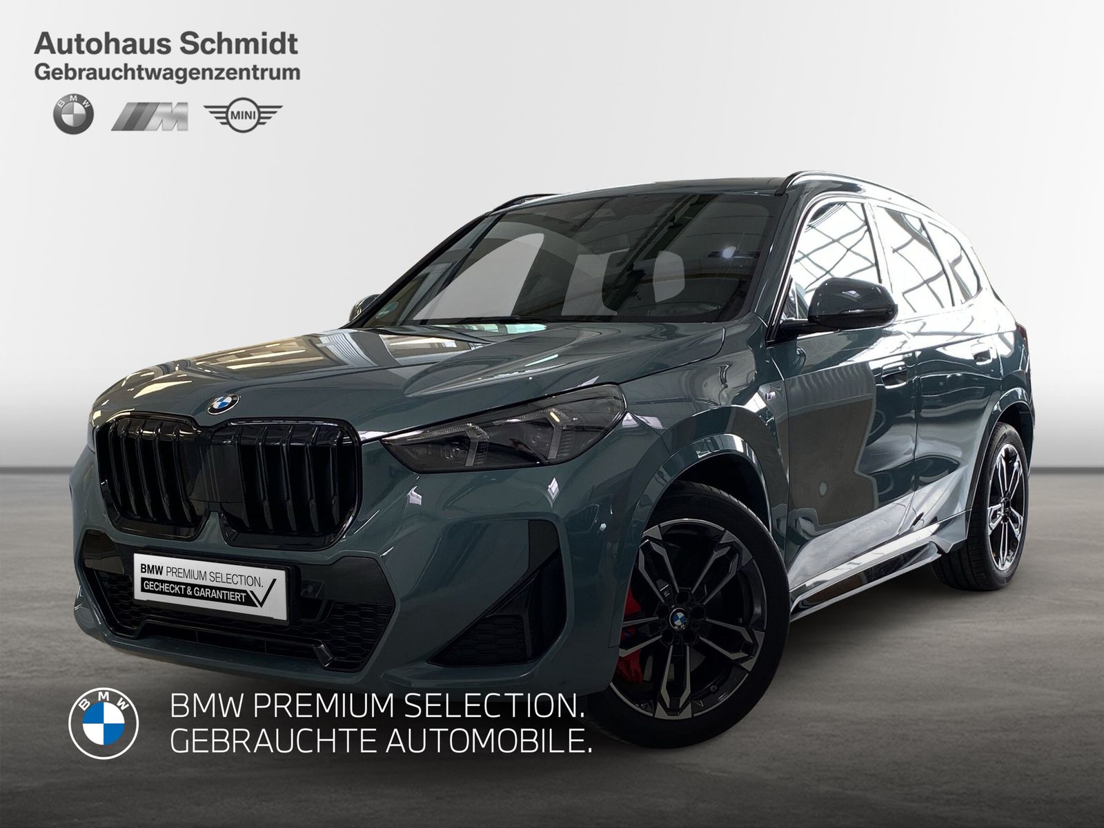 BMW X1 xDrive20d 434€ netto/mtl.*M Sportpaket Pro*19