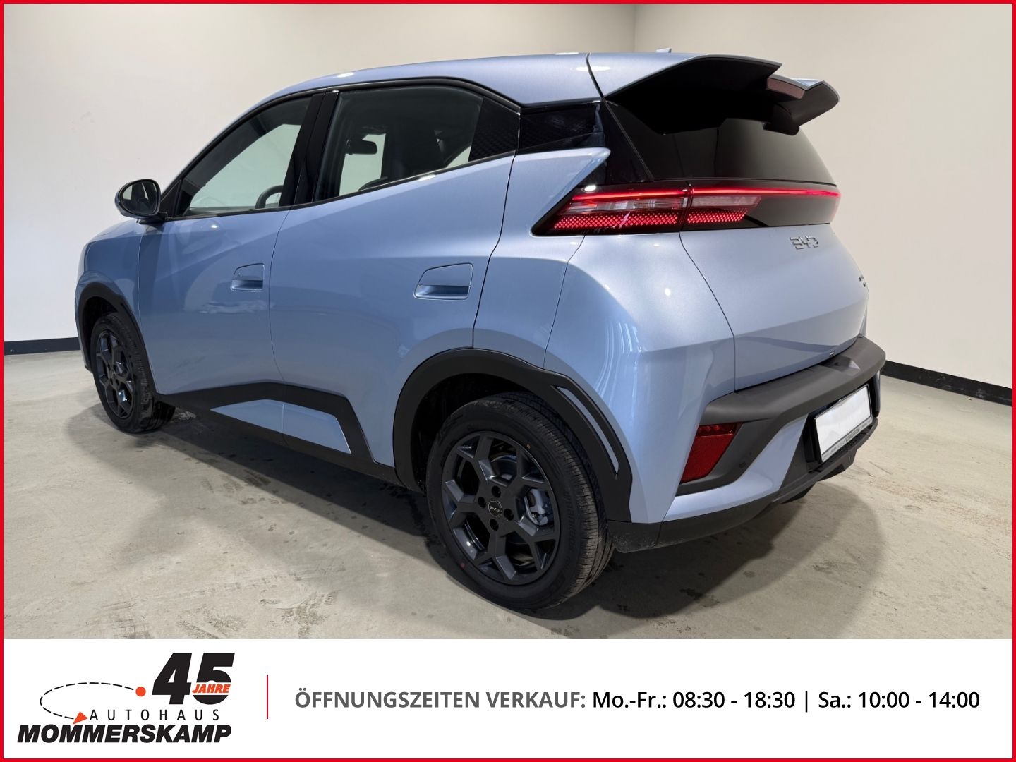 BYD DOLPHIN SURF