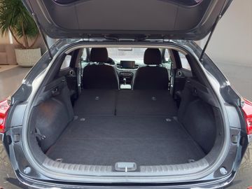 Kia XCeed 1.5T Edition 7 Kamera SHZ Apple CarPlay