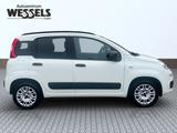 Fiat Panda Easy 1,2 - gebrauchte Fiat Panda aus dem Jahr 2019