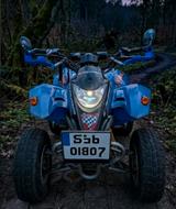 Other Quad 250 | LED-Umbau | NUR 1.500km | TÜV 02/28 - Offers