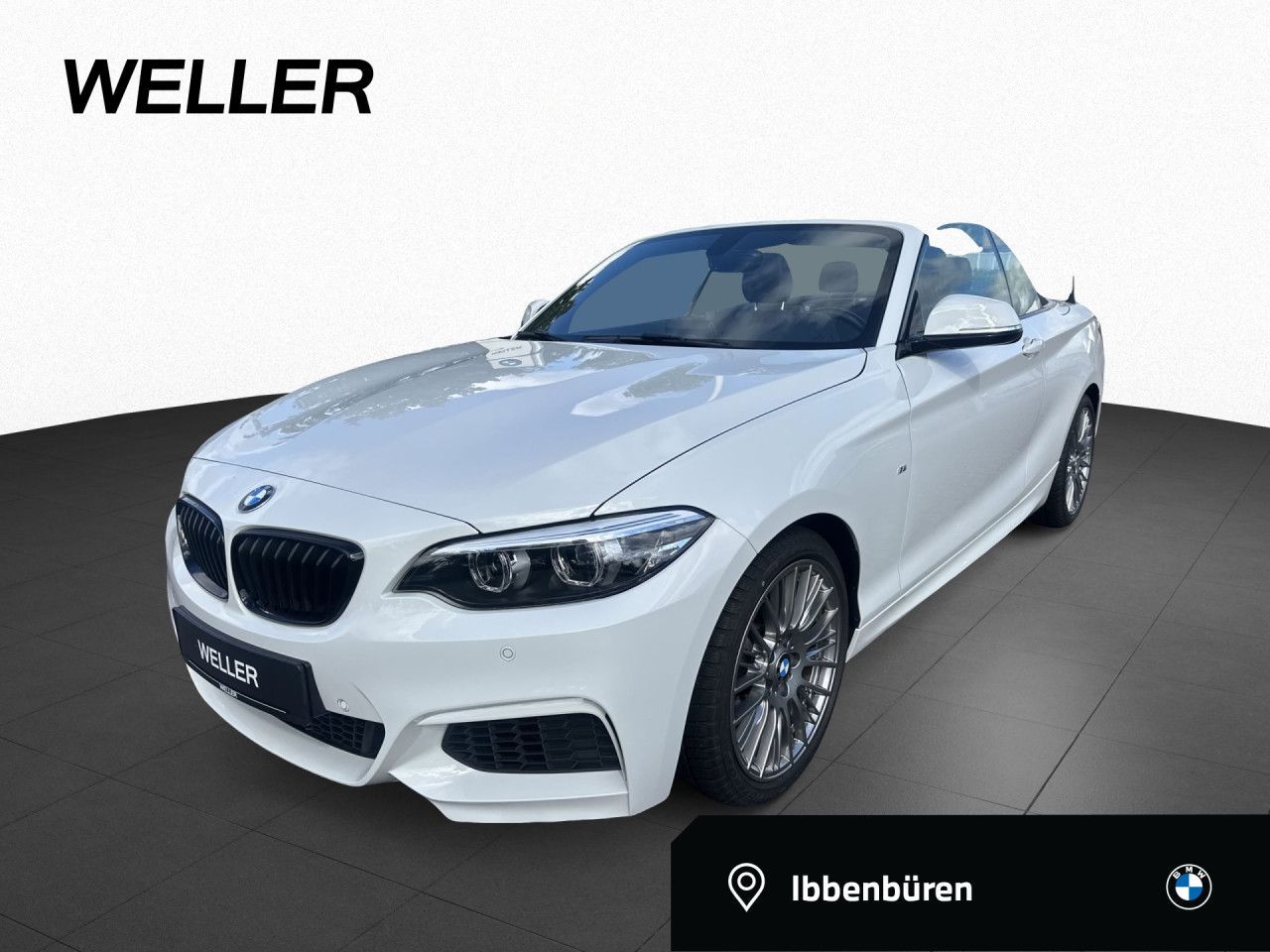 BMW 218i Cabrio M Sport H/K,Lenkradhz,LED,OpenAirPak