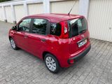 Fiat  Panda 1.2 8V Pop - Fiat New Panda Gebrauchtwagen