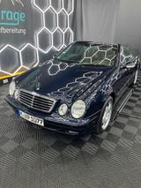Mercedes-Benz CLK 430 ELEGANCE Elegance - Mercedes-Benz CLK 430: Cabrio