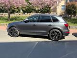 Audi SQ5 3.0 TDI competition tiptronic quattro - - gebrauchte Audi SQ5 aus dem Jahr 2016
