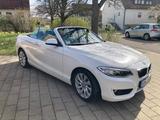 BMW 228i Cabrio - - BMW 228 aus 2015