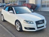Audi A3 Cabriolet S line Sportpaket / plus 2.Hand Top - Audi: Weiß, Cabrio