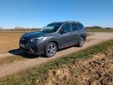 Subaru Forester 2.0ie EDITION SPORT40 Lineartronic ... - Subaru Gebrauchtwagen von 2022