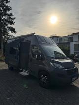 La Strada Avanti C aus erster Hand BJ 2017 - Angebote