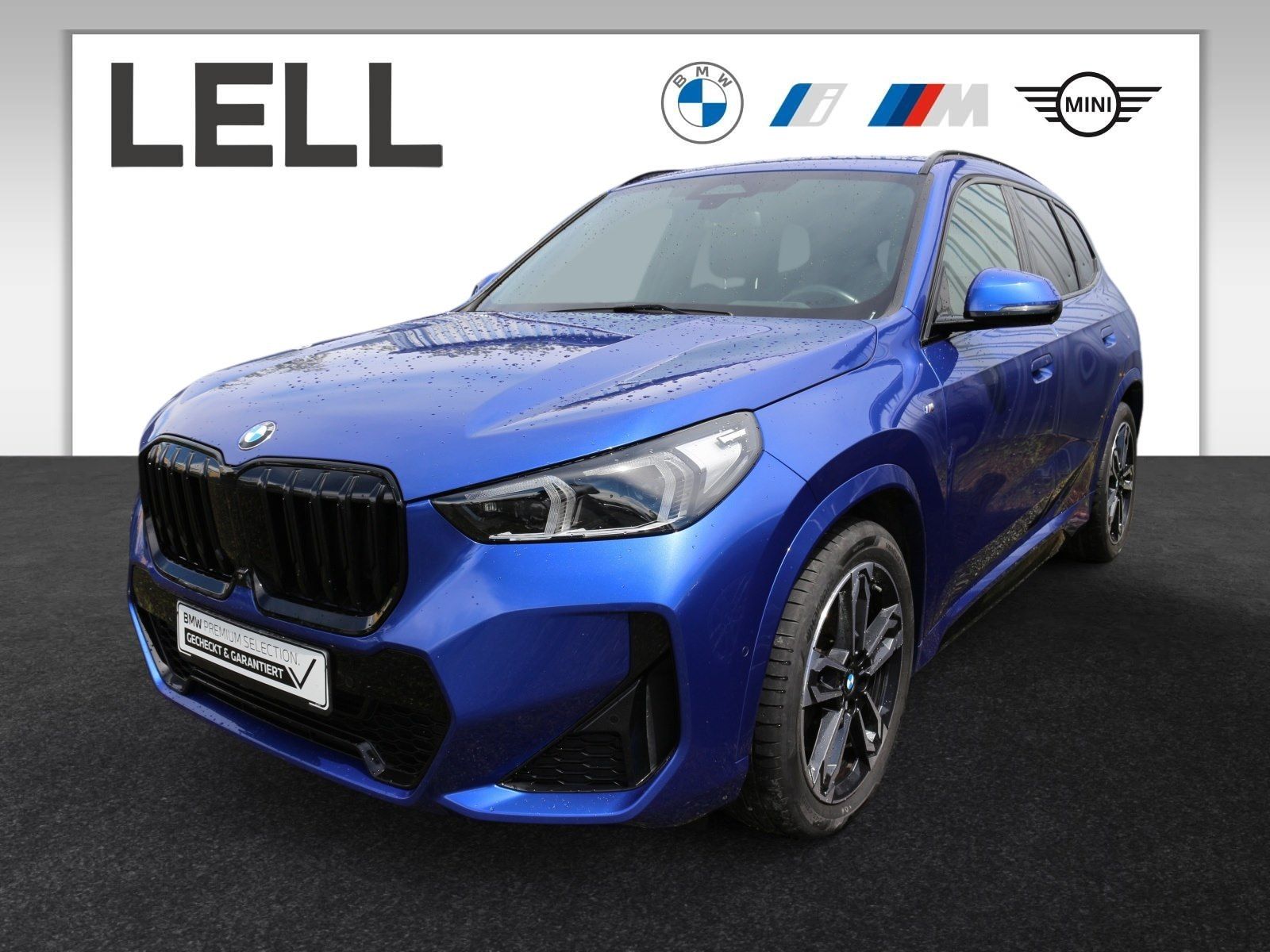 BMW X1 xDrive23d M Sport Head-Up AHK HiFi