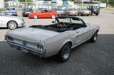 Ford Mustang Cabrio 289cui *V8*203 PS*SERVO*GARANTIE* - Ford Mustang aus 1967: Cabrio