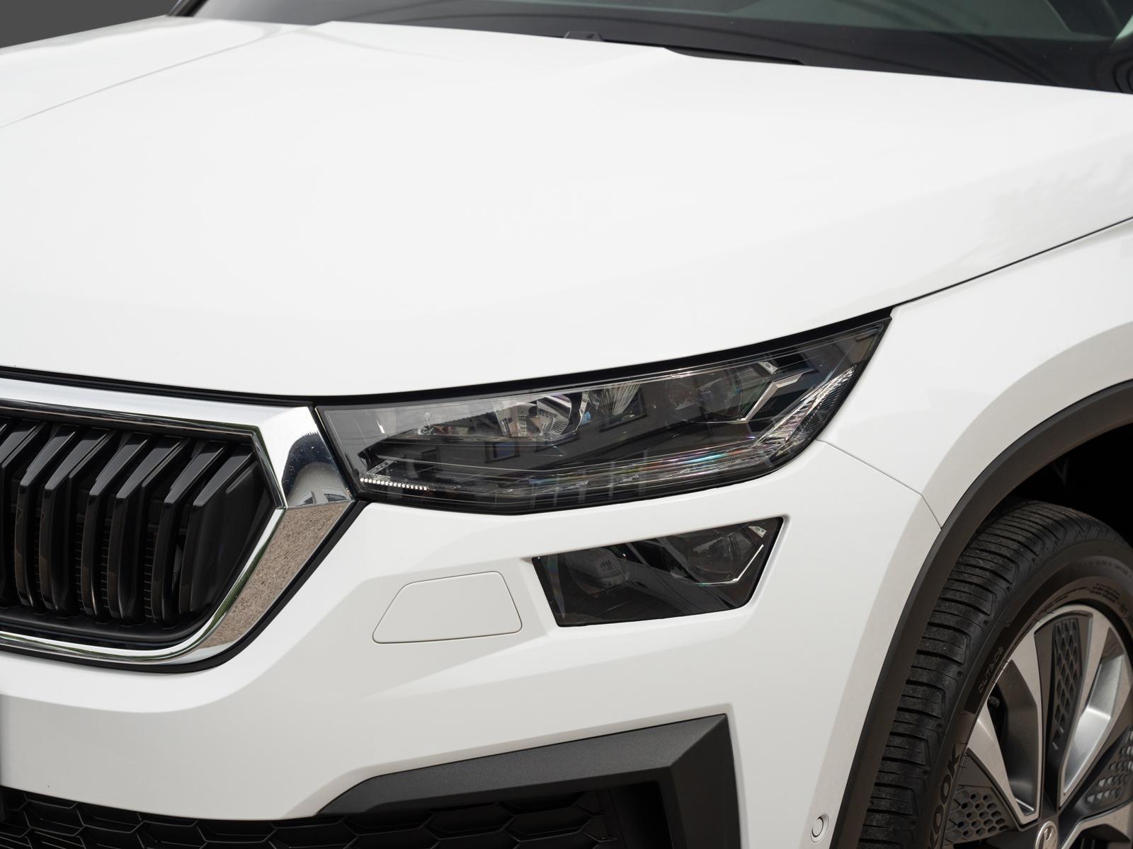 Skoda Kodiaq Ambition Tour AHK DAB+ SunSet Amundsen, миниатюра 11
