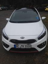 Kia cee'd / Ceed 1.6 T-GDI GT-Track GT-Track - Kia Gebrauchtwagen in Münster