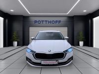Skoda Octavia - Vorschau Bild 7