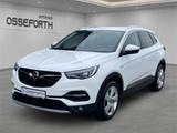 Opel Grandland Business Innovation 1.2l +LEDER+NAVI - gebrauchte Opel Grandland (X) aus dem Jahr 2018