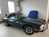 Jaguar XJS V12 5,3 Cabriolet, racing-green, HU neu