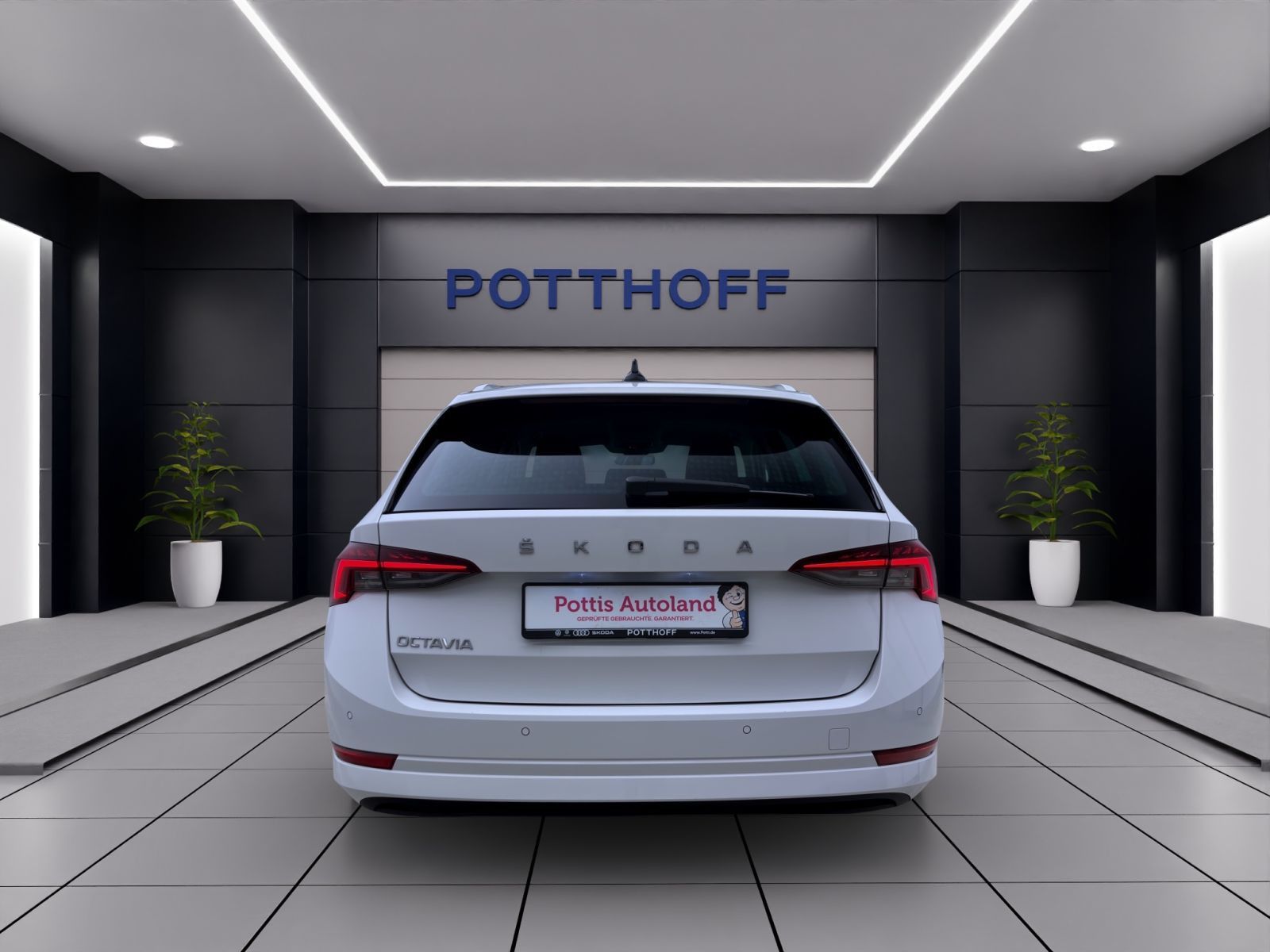 Skoda Octavia - Bild 3