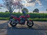 Suzuki GSF 600 S Bandit  - SUZUKI 1996 BANDIT 600