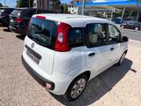 Fiat Panda Pop*TÜV NEU*1 HAND*KLIMA*SEHR SAUBER* - Fiat Panda Gebrauchtwagen in Duisburg