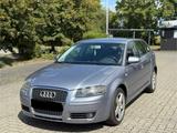 Audi A3 1.6 L Ambiente Sportback 17 Zoll S-Line.!!! - Audi A3 aus 2004: Line