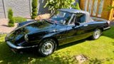 Alfa Romeo Verkaufe Alfa Romeo Spider 115 - Alfa Romeo Spider aus 1985