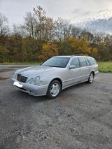 Mercedes-Benz 280 T Modell Allrad ( 4 Matic) 7 Sitzer  - Mercedes-Benz 280: 4matic