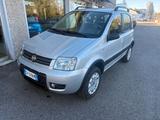 Fiat Panda 1.2 4x4 Climbing - Fiat Panda Climbing mit Benzin-Antrieb