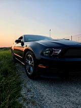 Ford Mustang - gebrauchte Ford Mustang aus dem Jahr 2011