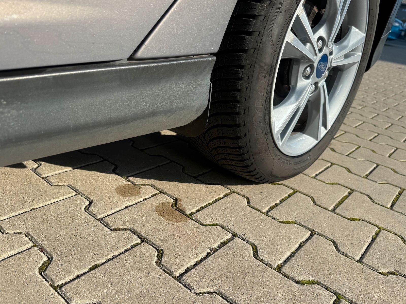 Ford Focus 2014 — фото 14