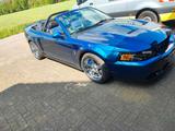 Ford Mustang SVT Cobra Mystic Chrom - Ford Mustang: Svt