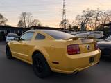 Ford Mustang GT V8 TÜV27/ROUSH AANLAGE/HINGUCKER/ - Ford Mustang aus 2006: Coupe