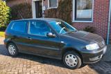 Volkswagen Polo 6N II - Volkswagen Polo: Ii