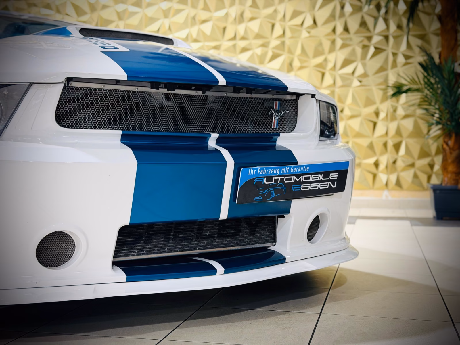 Ford Mustang Shelby American GT 350|624PS|CSM|SAMMLER