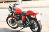 Triumph Thruxton