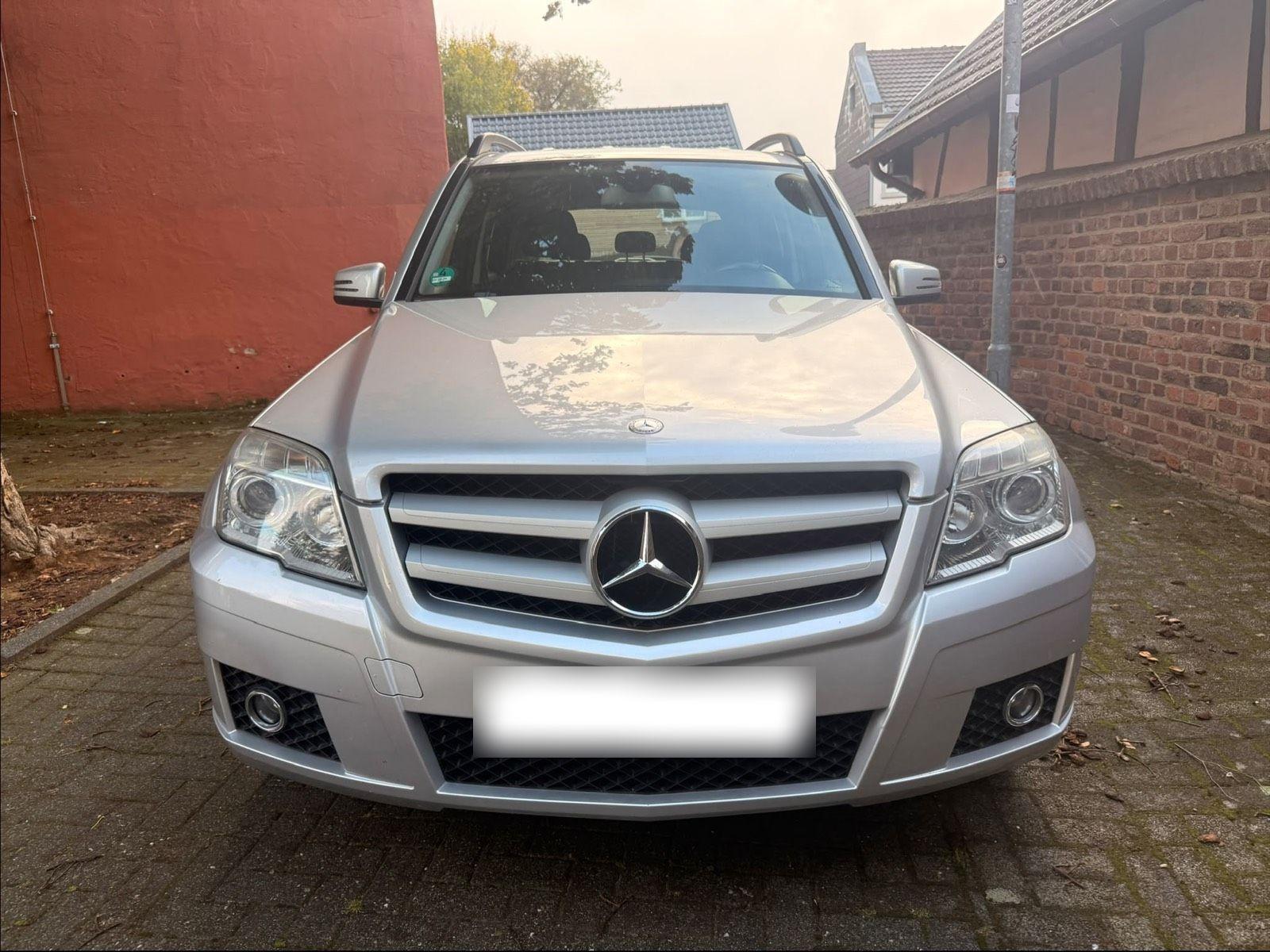 Mercedes-Benz GLK220 2010 — rear view