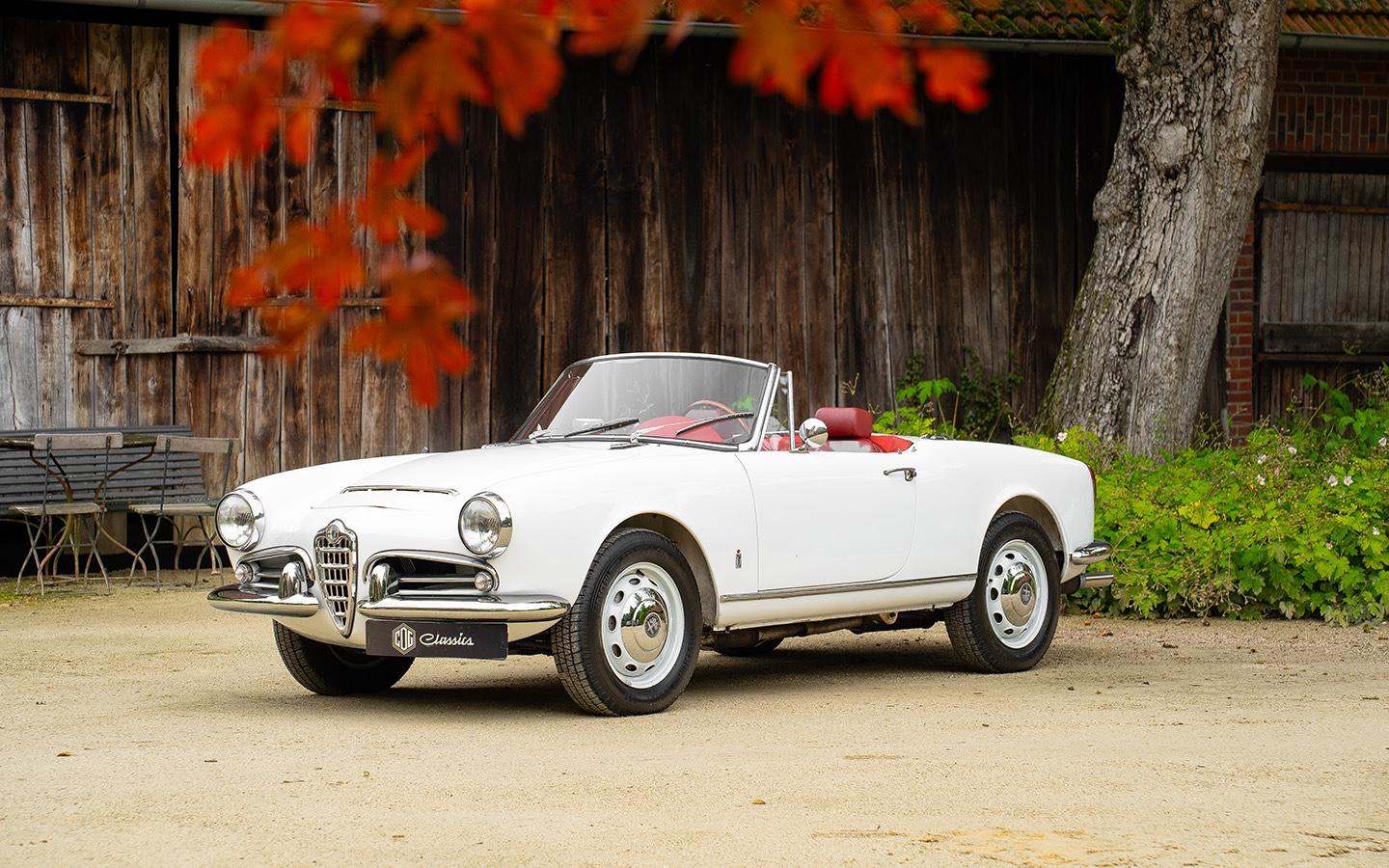 Alfa Romeo Giulia Spider 1600 - Vollständig Restauriert!