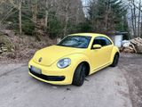 Volkswagen VW Beetle 1.8 tsi 170PS - Volkswagen Beetle mit Benzin-Antrieb: 1.8