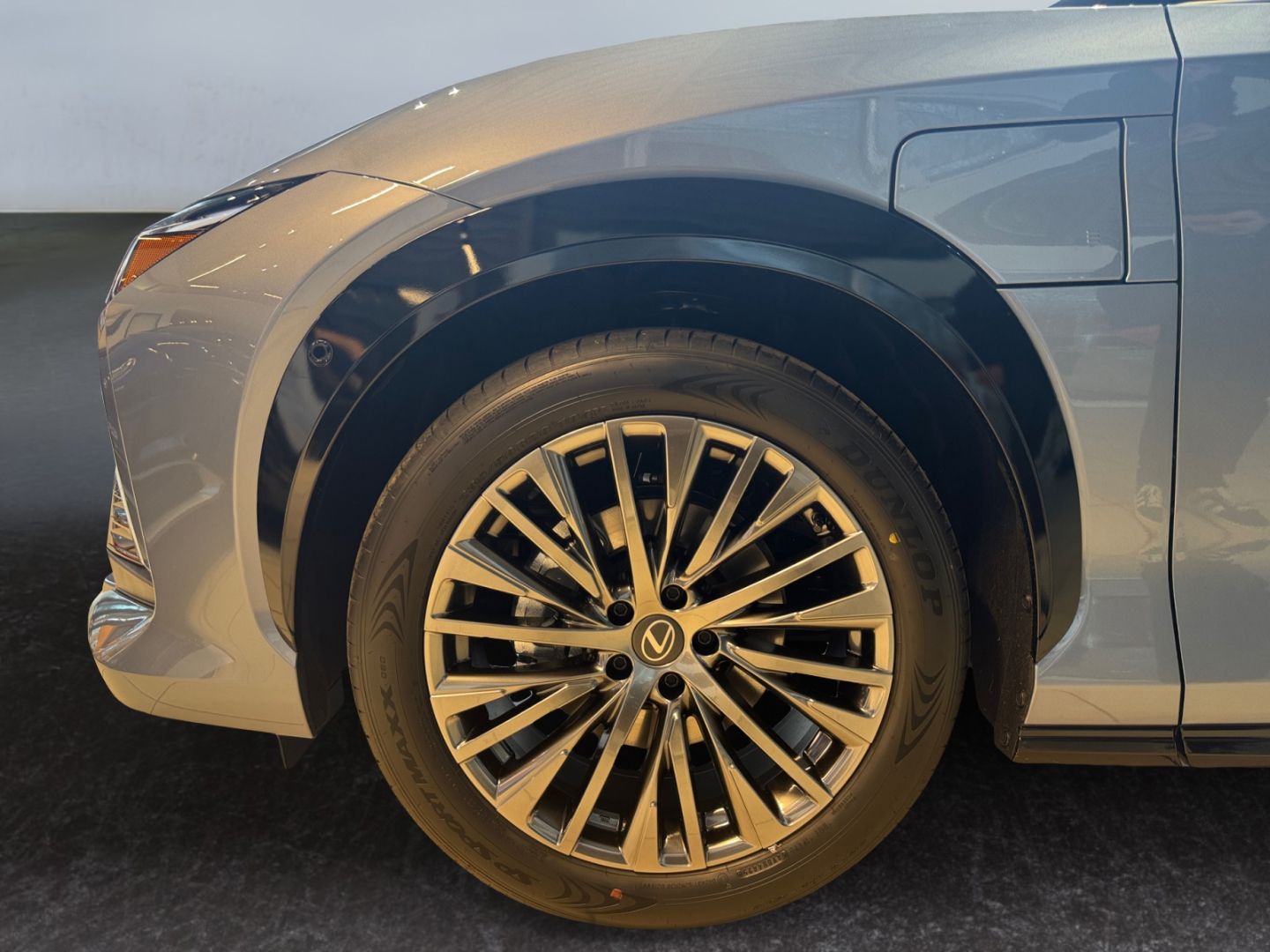 Lexus RZ - Bild 20
