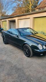 Mercedes-Benz CLK 430 Designo grün Unikat - Mercedes-Benz CLK 430 Gebrauchtwagen
