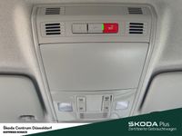 Skoda Kamiq - Vorschau Bild 15